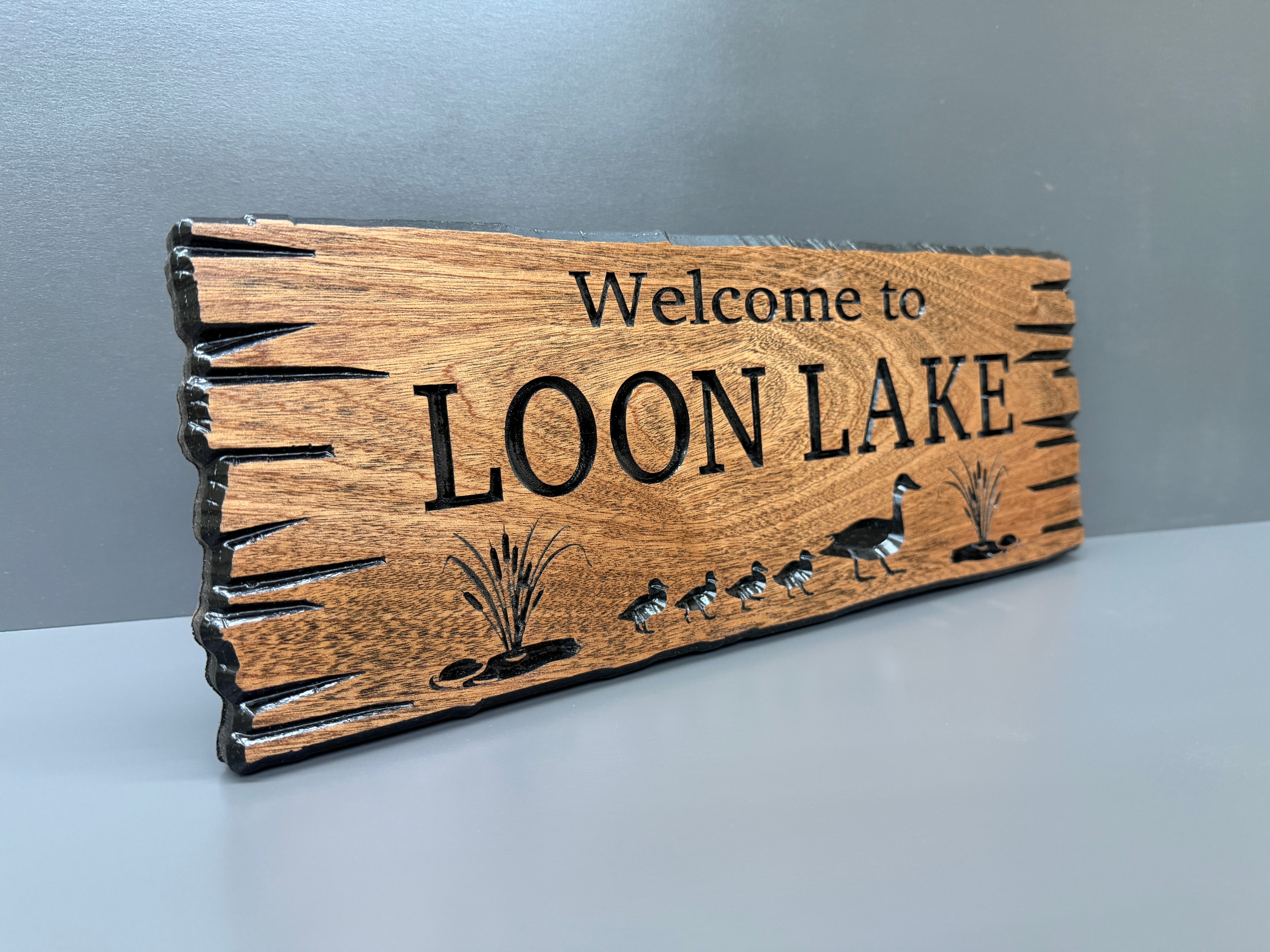 Lake & Coastal Signs